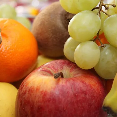 Quick Palace Nord Tours