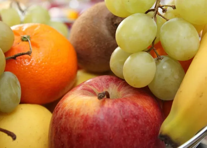 Quick Palace Nord تور